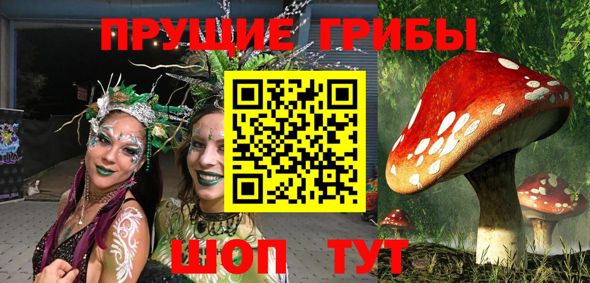 где найти   Галлюциногенные грибы GOLDEN TEACHER  Протвино  Вход с VPN  Псилоцибиновые грибы мицелий 